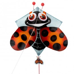 Pop Up Ladybug Kite