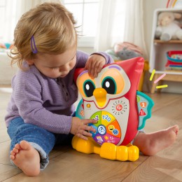 Fisher-Price Linkimals LightUp & Learn Owl